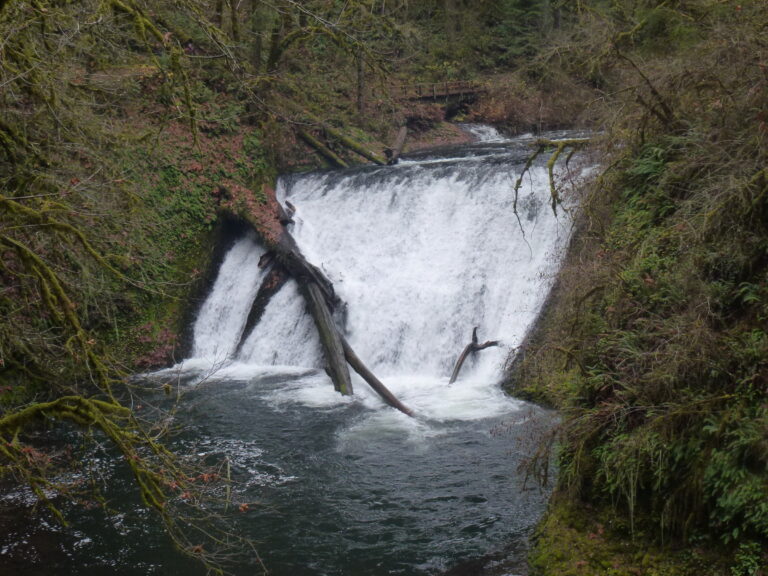 Lower North Falls
