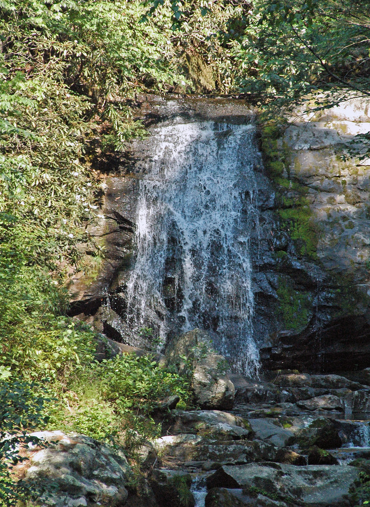 Meigs Falls & Thunderhead Sandstone (Neoproterozoic; Great Smoky Mountains, Tennessee, USA) 3