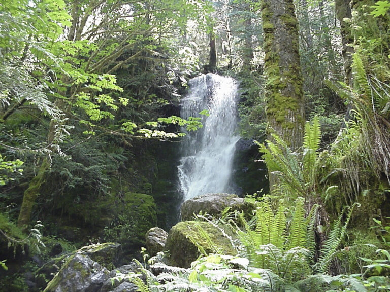 Merriman Falls, Olympic National Forest Merriman Falls, Olympic National Forest
