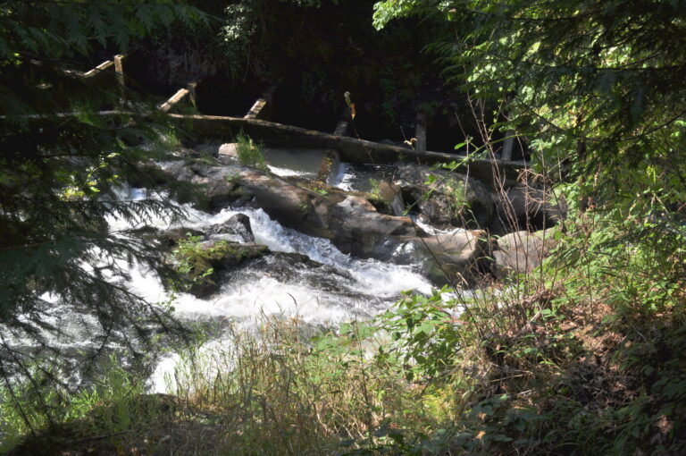 Middle Tumwater Falls and salmon ladder 01