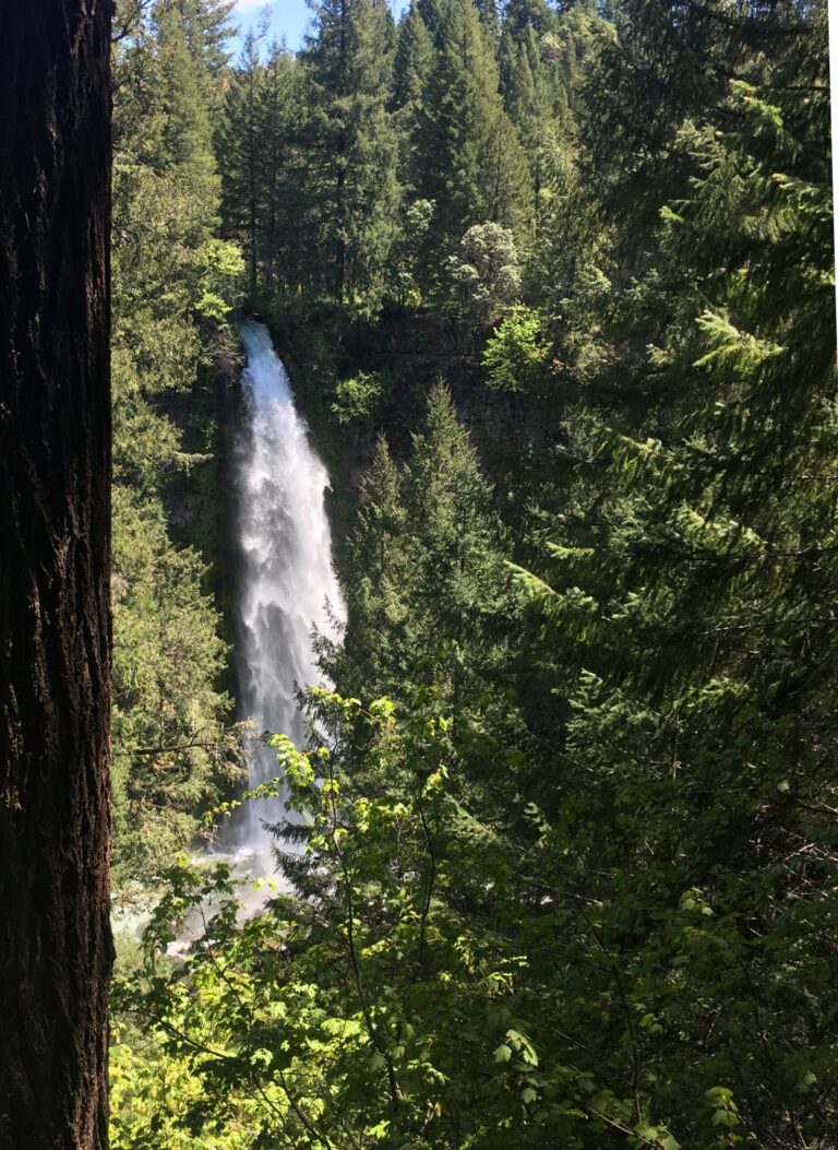 Mill Creek Falls, Oregon