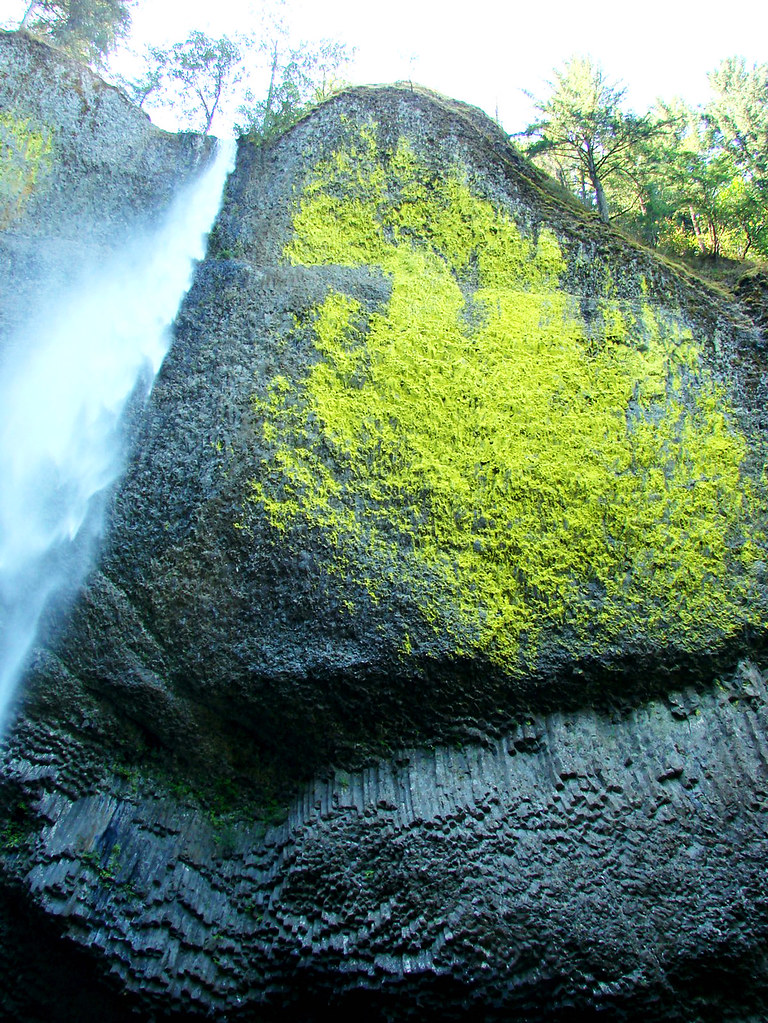 Moss on Lava, Wahkeena Falls, Oregon 9-06