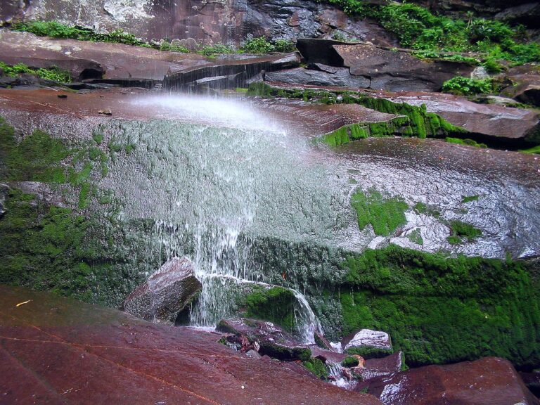 Mossy Rocks at Rainbow Falls