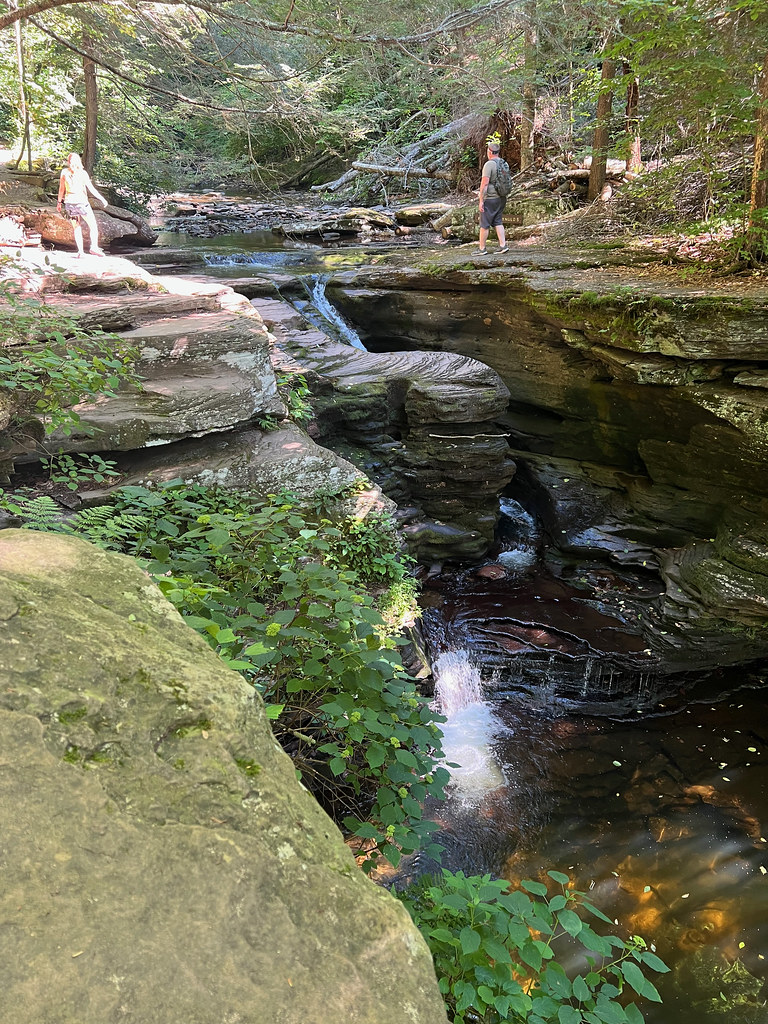 Murray Reynolds Falls