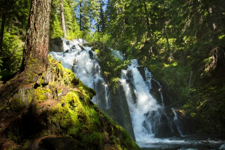 National Creek Falls, Oregon