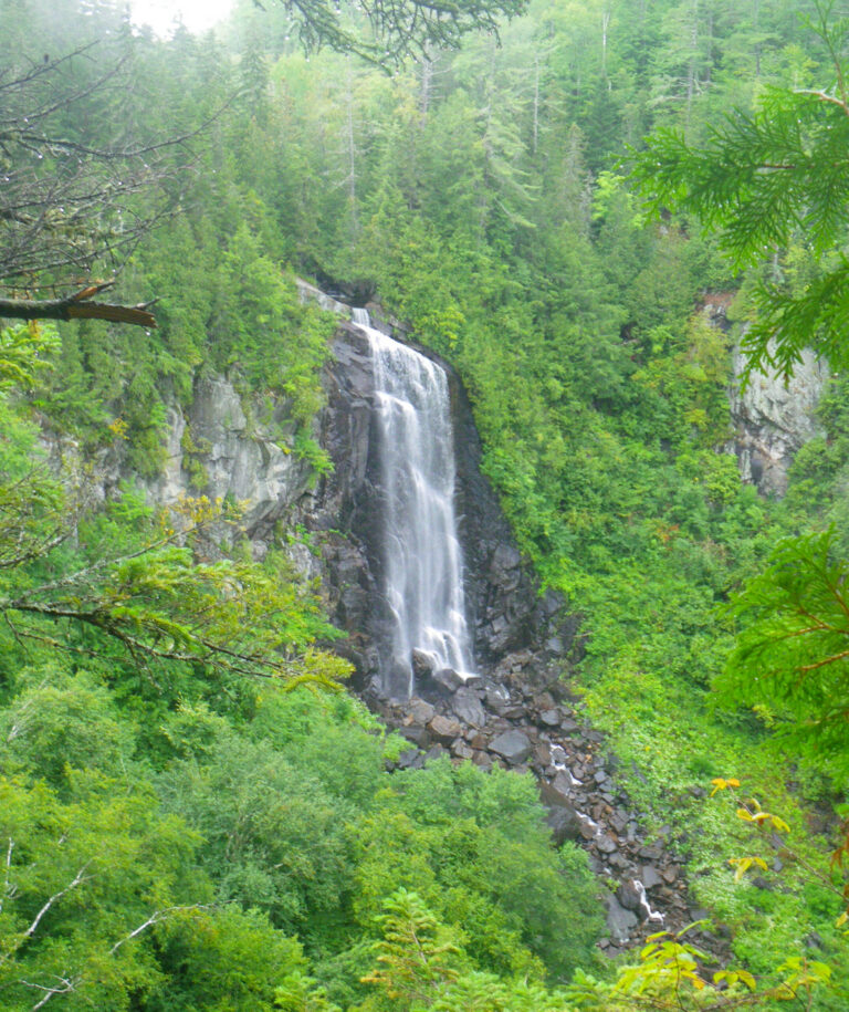 OK Slip Falls upstate