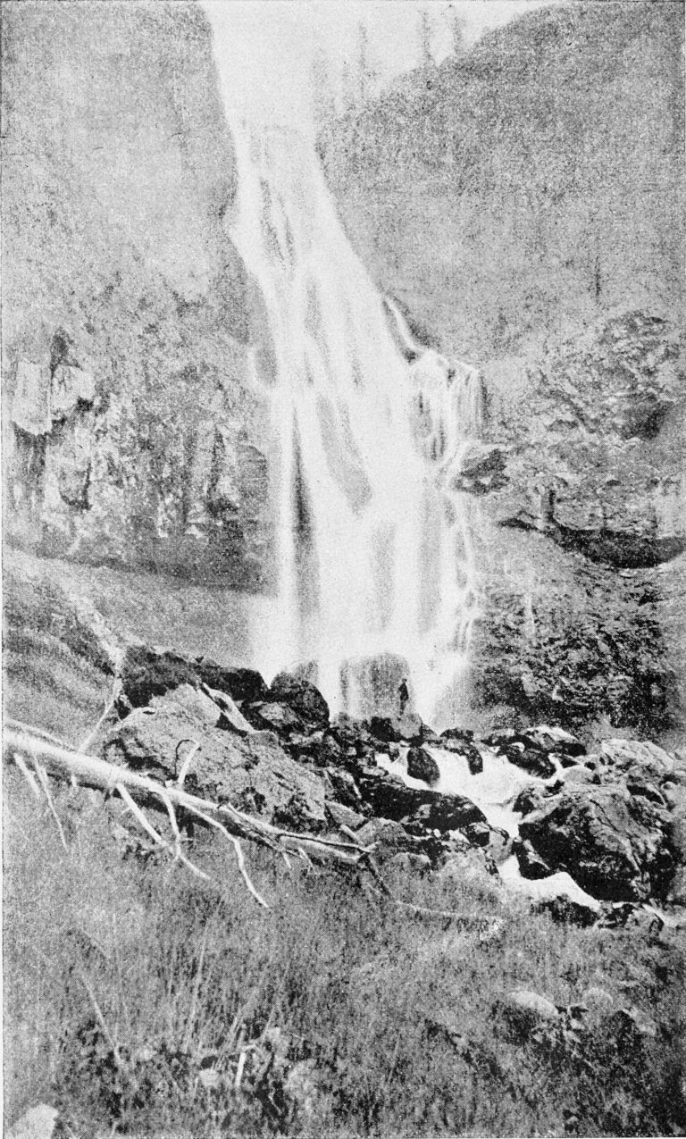 Osprey Falls Osprey Falls