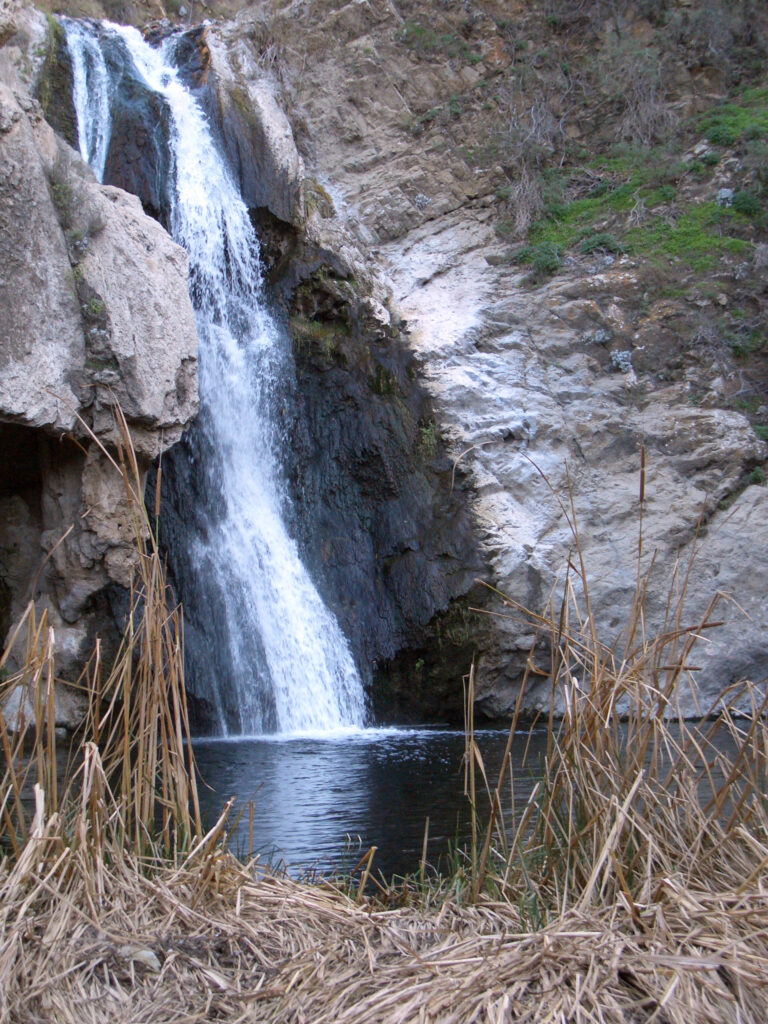 Paradise Falls