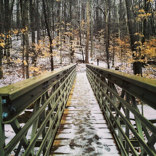 Paths and trails #hiking #bridge #footbridge #path Blue Hen Falls Ohio
