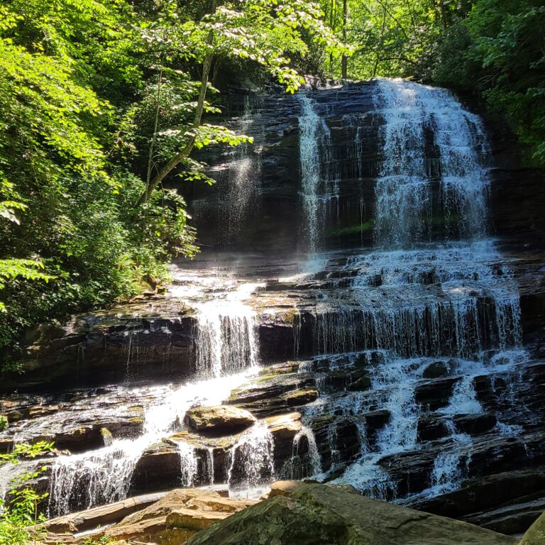 Pearsons Falls