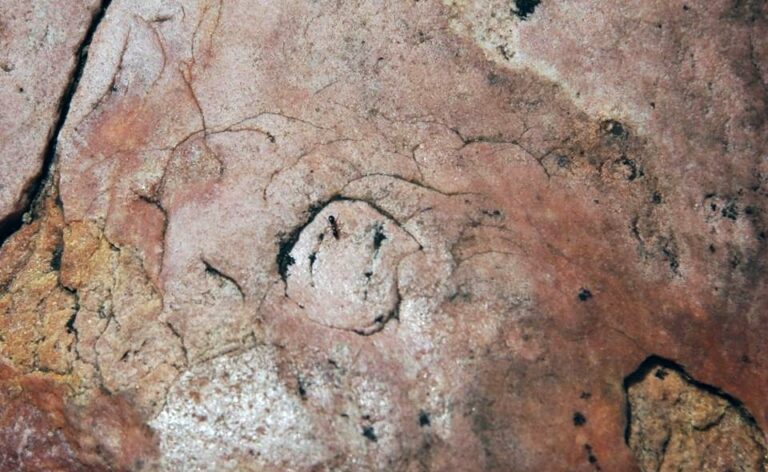 Percussion marks in Sioux Quartzite (Paleoproterozoic, 1.65-1.70 Ga; Falls Park, Sioux Falls, South Dakota, USA) 8