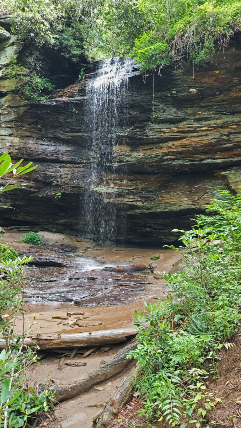 Pisgah National Forest - Moore Cove Falls 02
