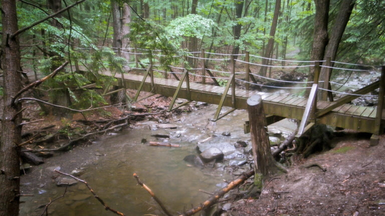 Lower Plotter Kill Falls