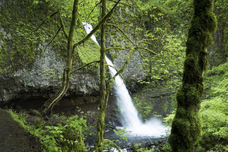 Ponytail Falls, Oregon