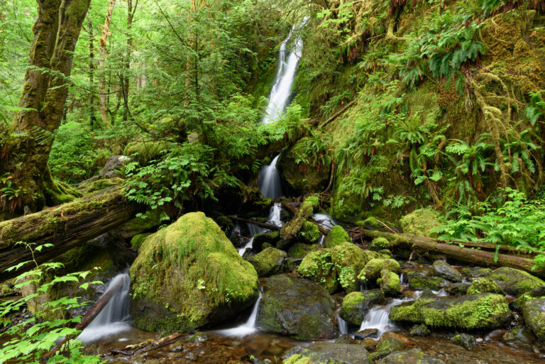 Merriman Falls