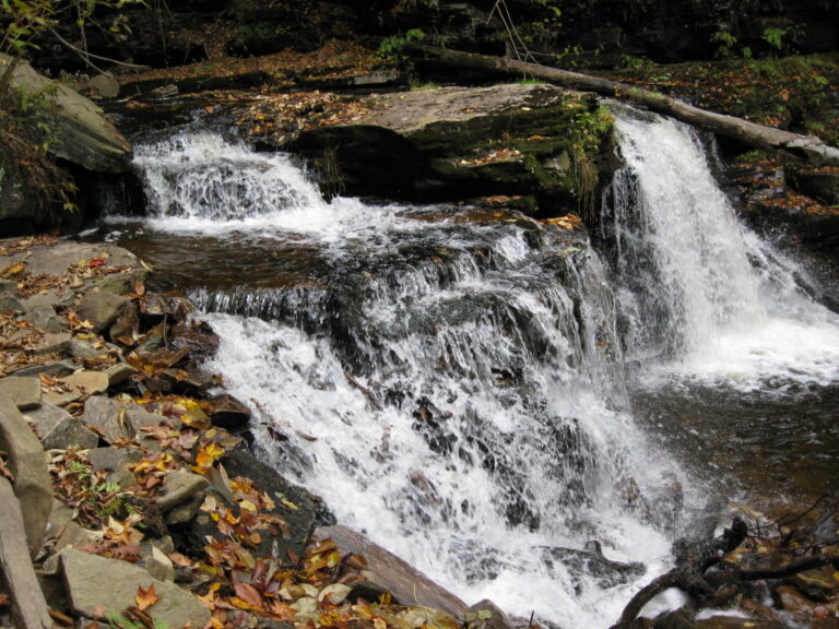 Ricketts Glen State Park Cayuga Falls 4