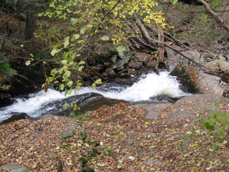 Ricketts Glen State Park Conestoga Falls 2