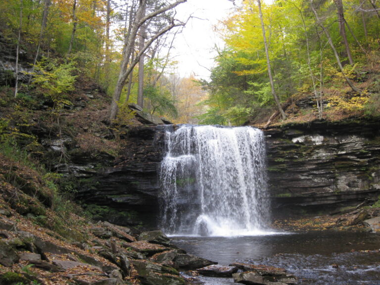 Ricketts Glen State Park Harrison Wright Falls 3
