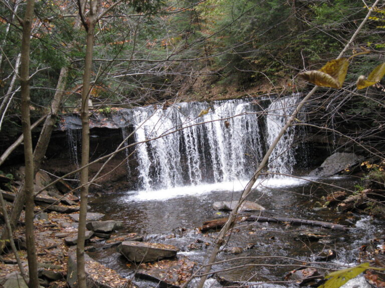 Ricketts Glen State Park Oneida Falls 3