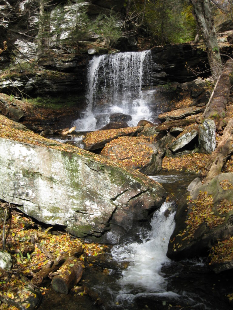 File:Ricketts Glen State Park B. Reynolds Falls 7.jpg