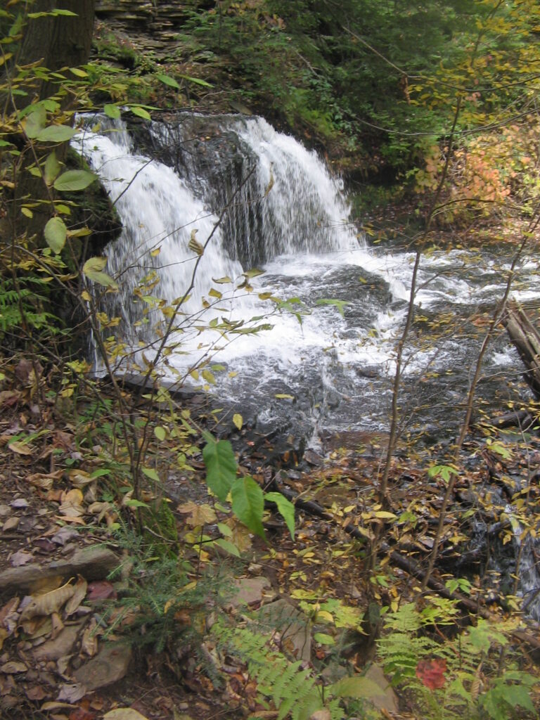 Ricketts Glen State Park Mohawk Falls 2