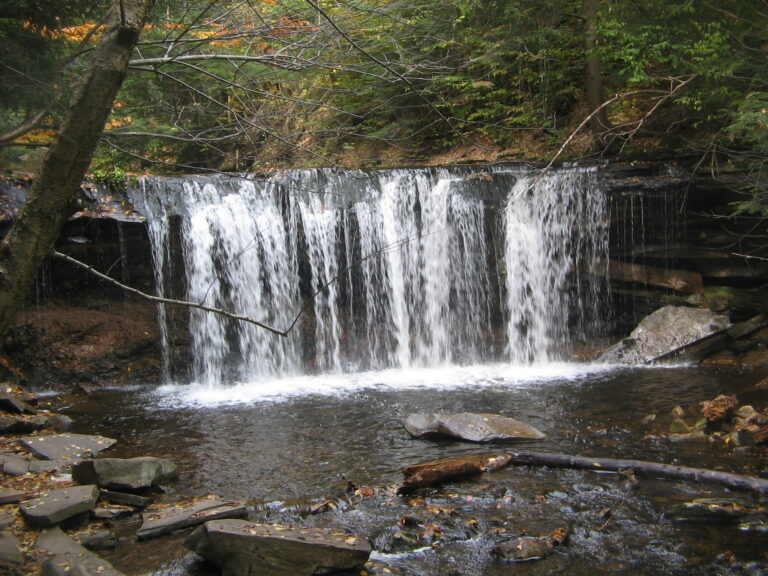 Ricketts Glen State Park Oneida Falls 1