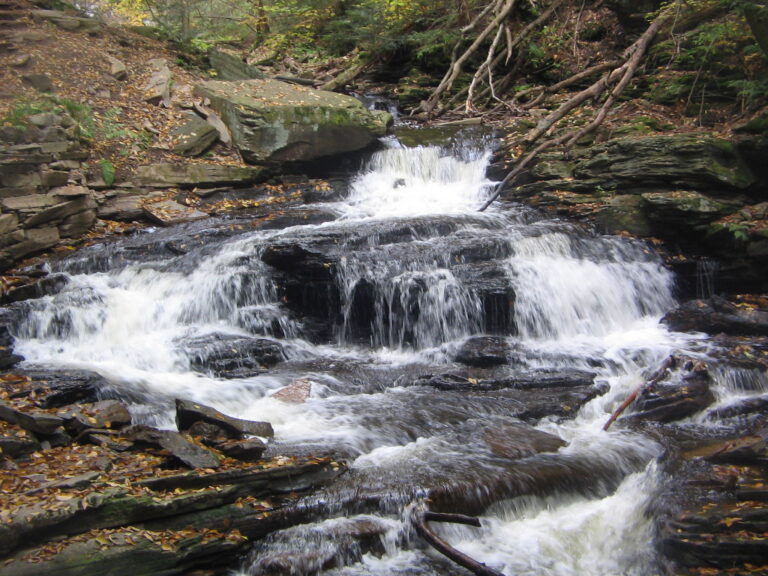 Ricketts Glen State Park Seneca Falls 1