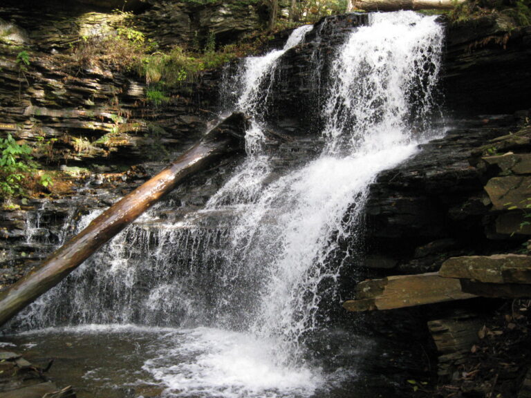 File:Ricketts Glen State Park Shawnee Falls 4.jpg