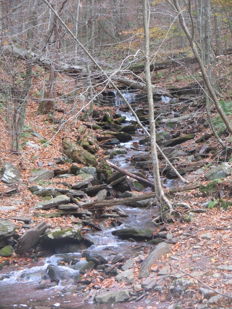 File:Ricketts Glen State Park Shingle Cabin Falls 1.jpg