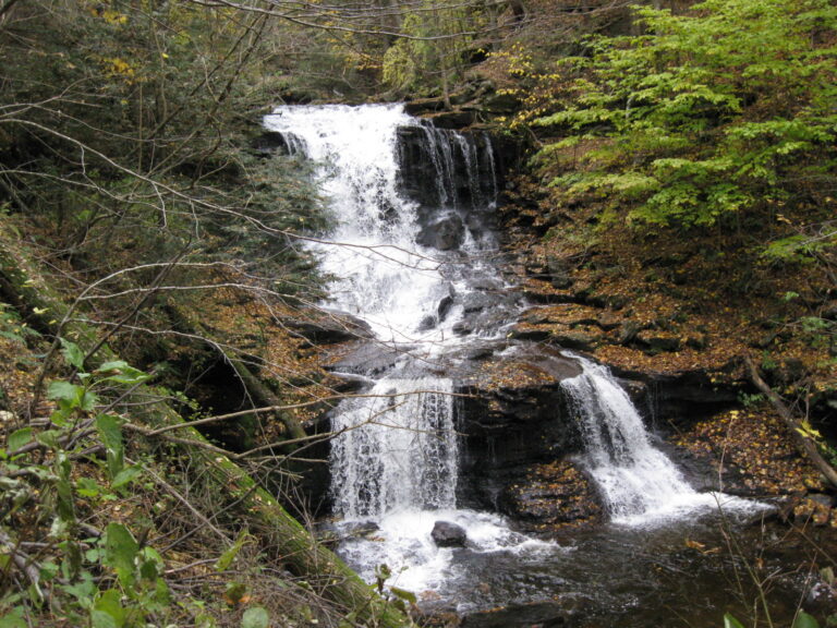 Ricketts Glen State Park Tuscarora Falls 4
