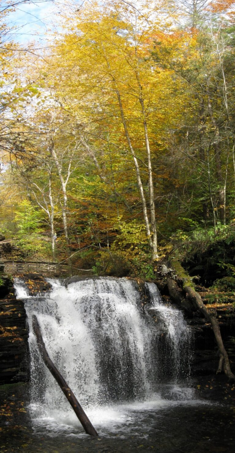 File:Ricketts Glen State Park Wyandot Falls 6.jpg