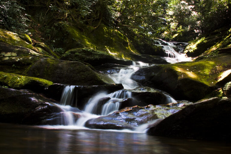 Roaring Fork Falls