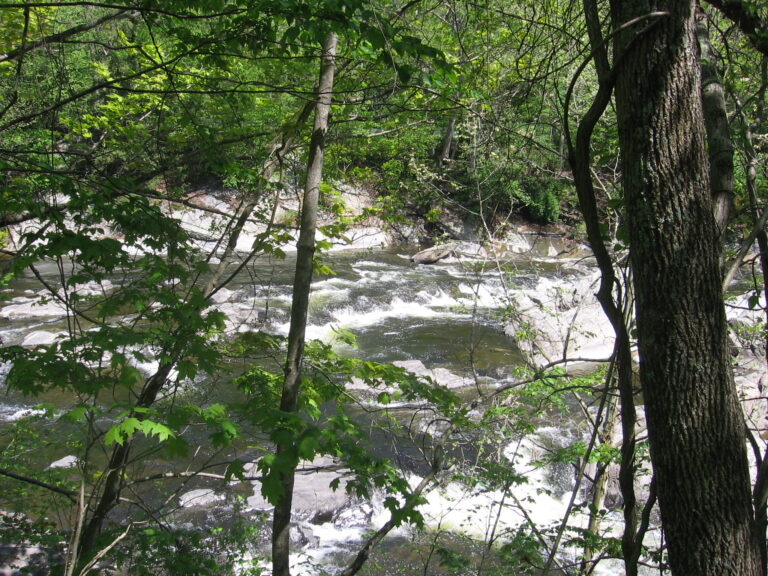 Roxbury Falls 073