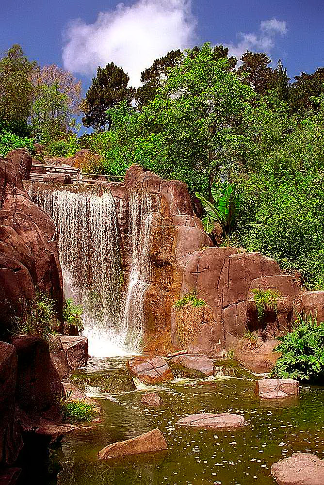 San Francisco - Golden Gate Park 'Huntington Falls' San Francisco - Golden Gate Park 'Huntington Falls'