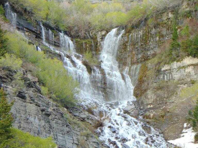 Scout Falls