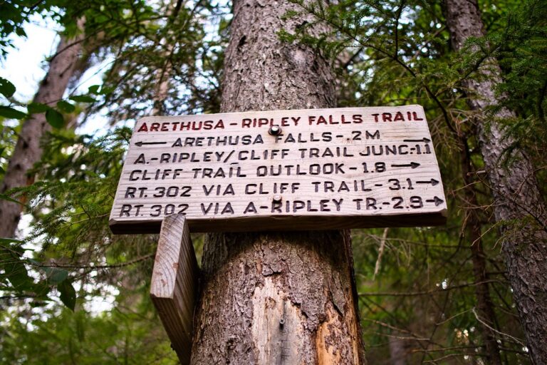 Sign to the Arethusa–Ripley Falls Trail