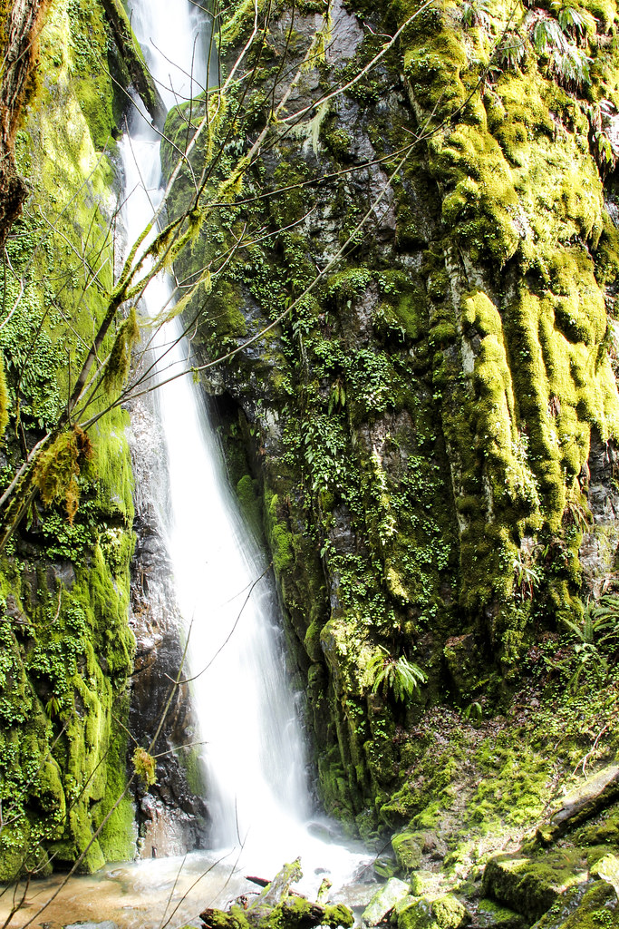 Soda Creek Falls, Waterfalls, Oregon