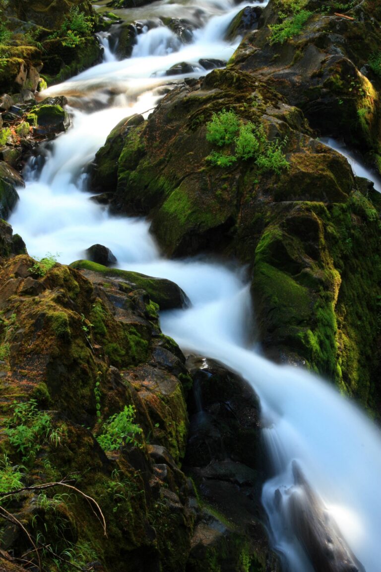 Sol Duc Falls Olympic National Park