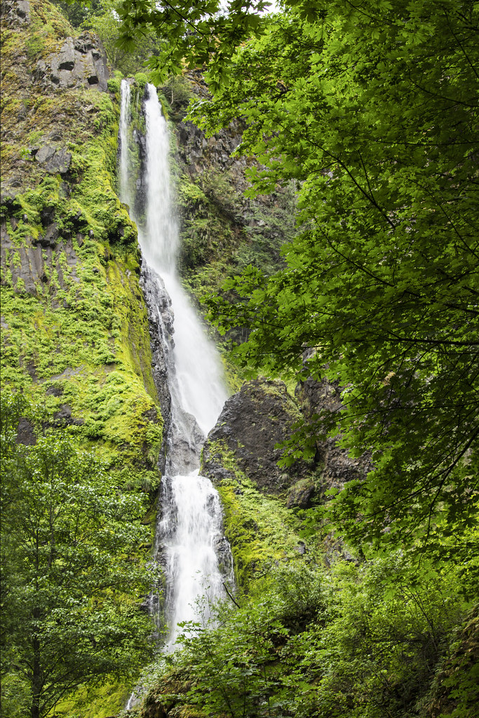 Starvation Creek Falls, Oregon Starvation Creek Falls, Oregon