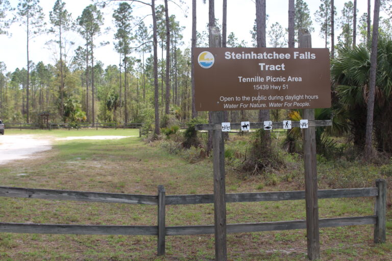 Steinhatchee Falls Tract, Tenille Picnic area sign