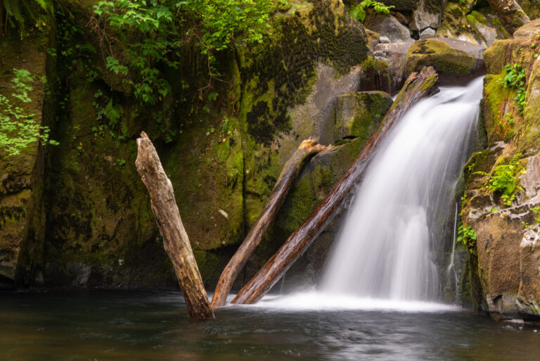 Sweet Creek Falls