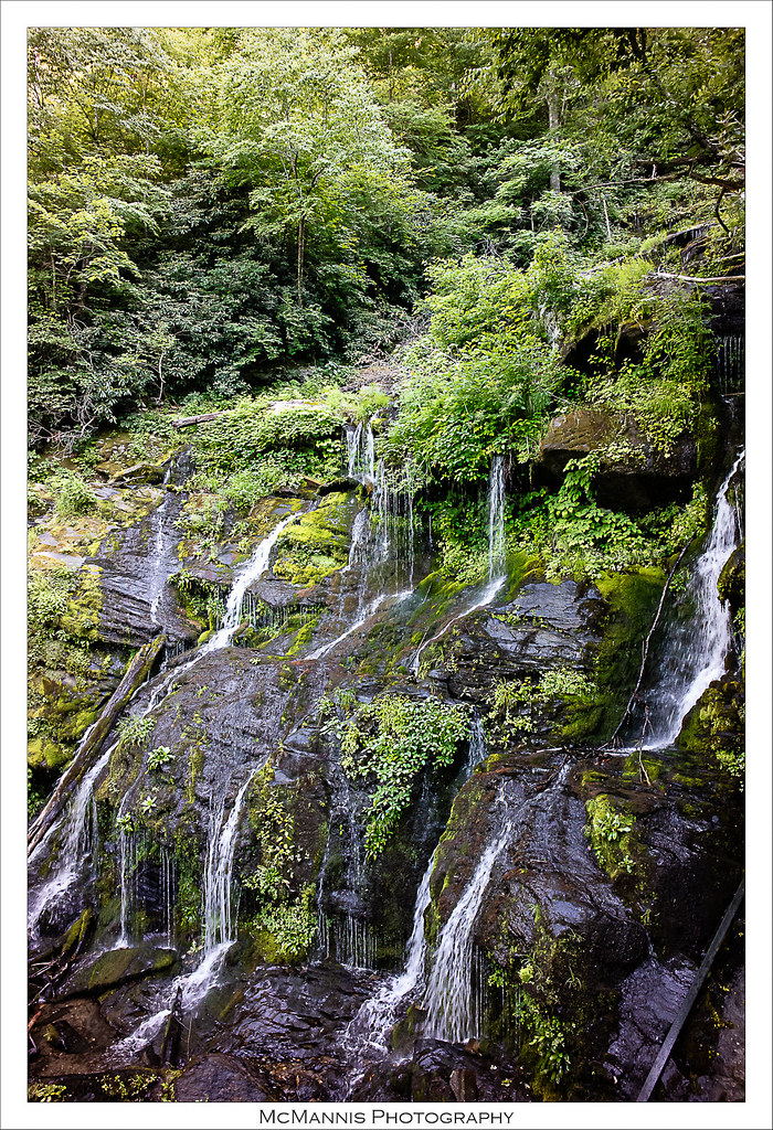 The Newly Renovated Catawba Falls Trail
