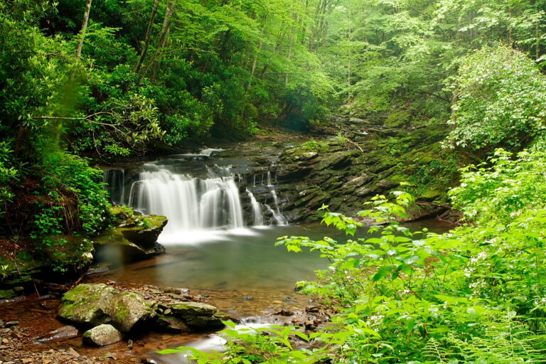 The-falls-of-seneca - West Virginia - ForestWander