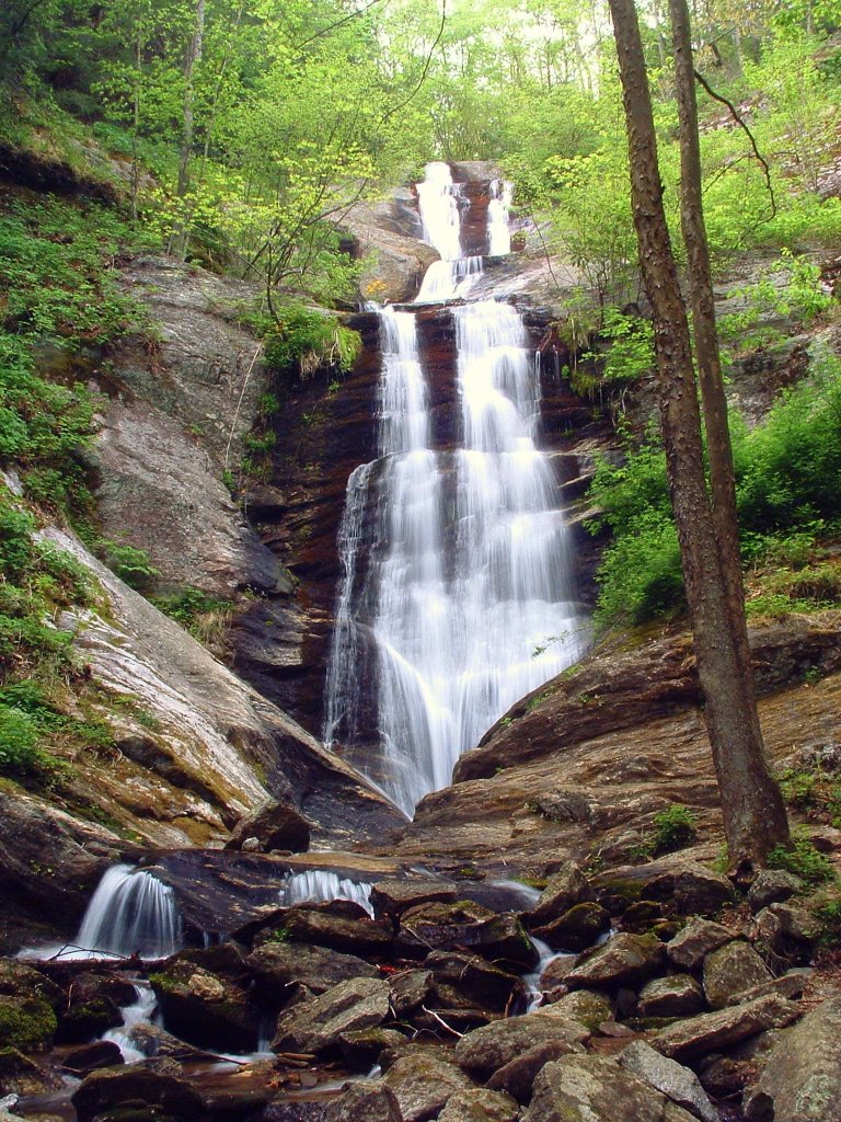 Toms Creek Falls