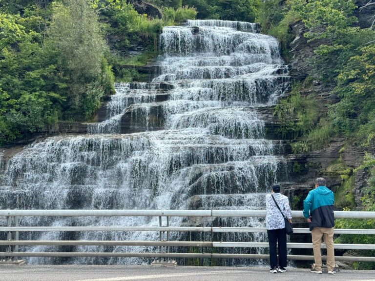 Tourists flocking the Hector Falls