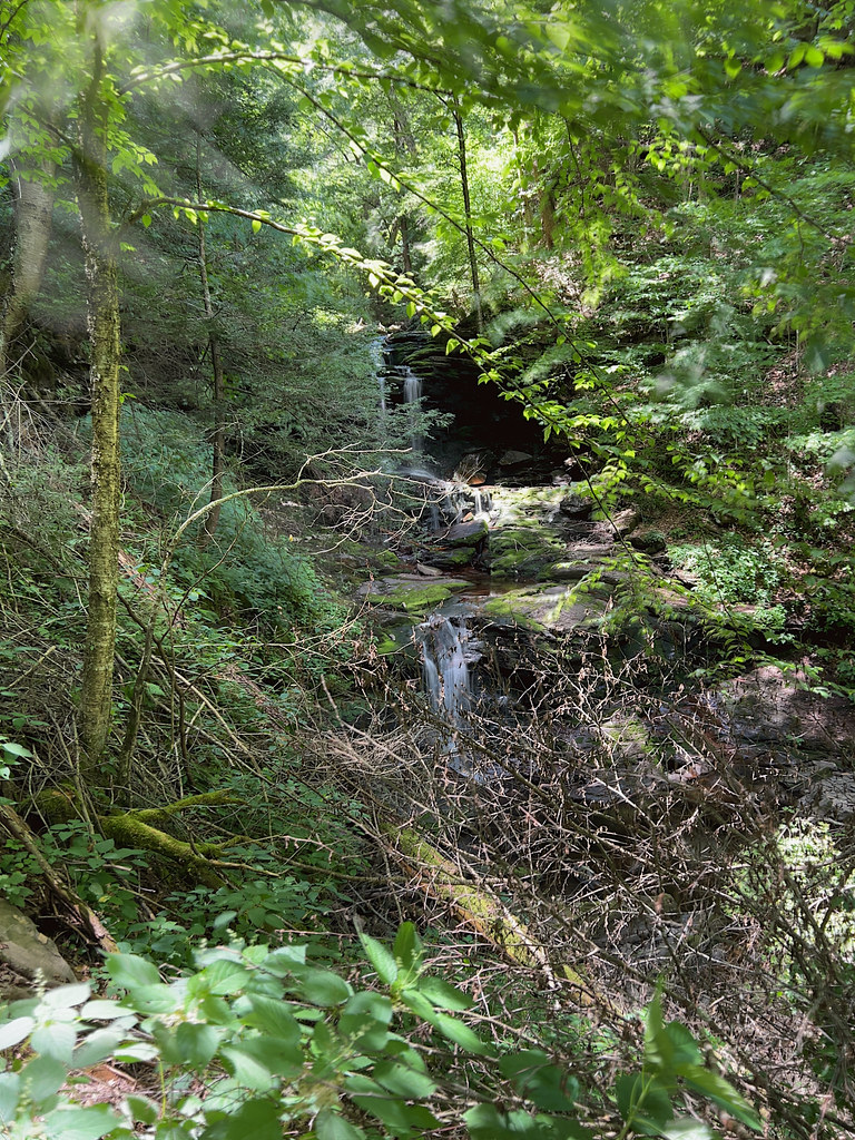 Tuscarora Falls