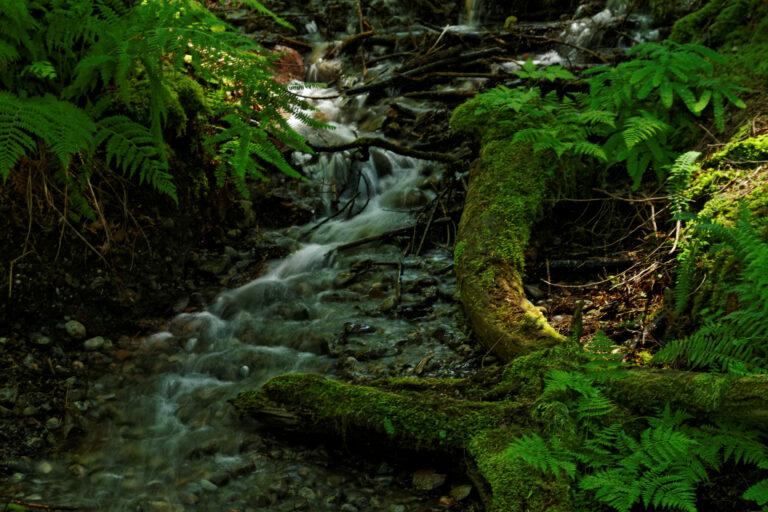 Twin Falls (Washington) (6102116464)