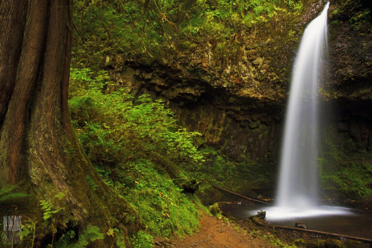 Upper Latourell Falls
