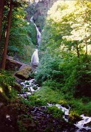 Wahkeena Falls