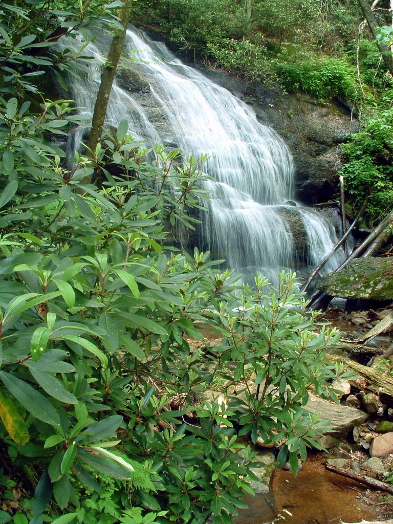West Prong Hickey Fork Falls